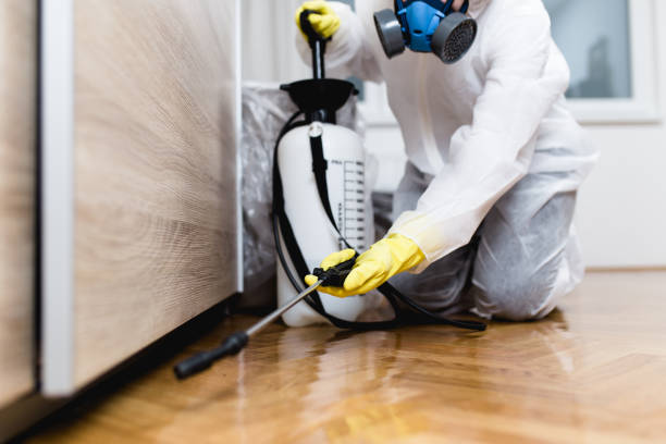 Best Pest Removal Services  in Coalgate, OK