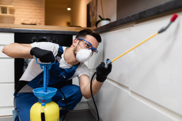 Best Wildlife Control Services  in Coalgate, OK