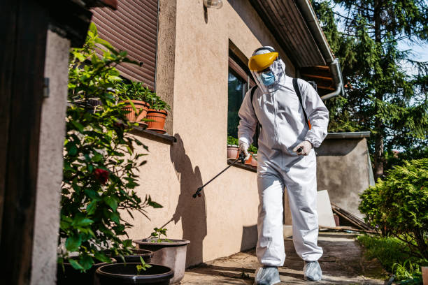 Best Rat Extermination Near Me  in Coalgate, OK