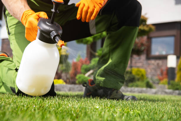 Best Mosquito Control Services  in Coalgate, OK