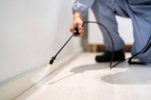 Pest Prevention Services in Coalgate, OK
