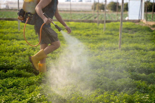 Reliable Coalgate, OK Pest Control Solutions