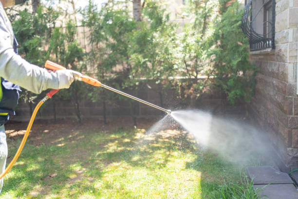 Best Residential Pest Control  in Coalgate, OK