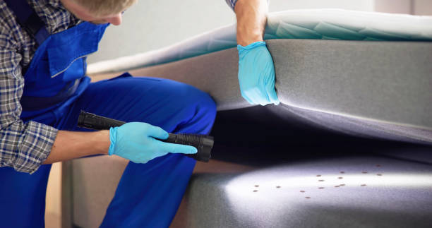 Best Bed Bug Extermination  in Coalgate, OK