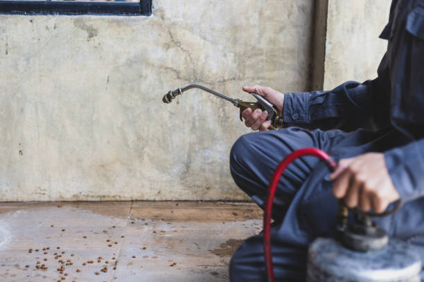 Best Pest Control Near Me  in Coalgate, OK